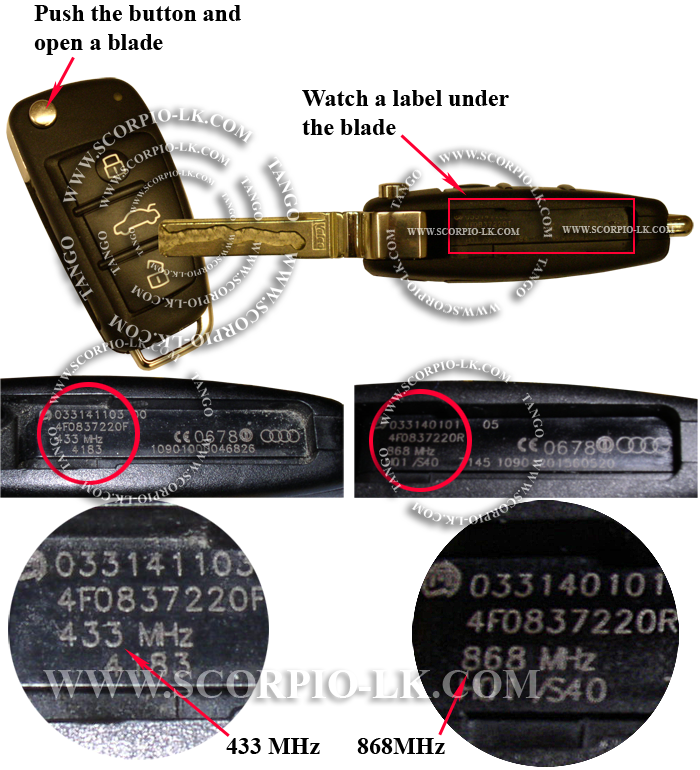 ezs_keyfrequencylabel