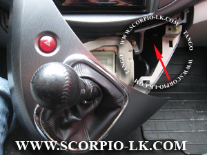 mitsu_grandis2402_s2