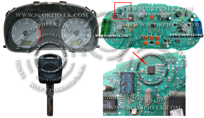 sco_octavia_9366id13